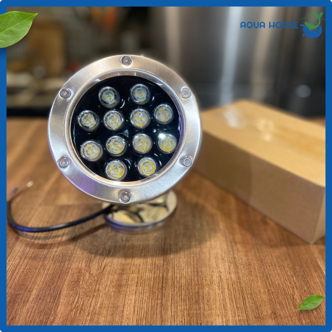 đèn âm nước hồ cá ngoài hình 12w