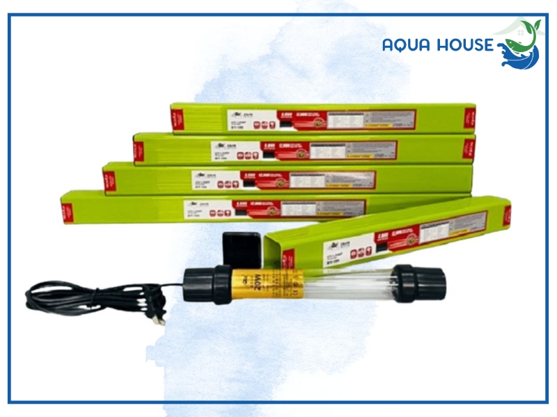 Hướng dẫn sử dụng đèn UV Baoyu hiệu quả