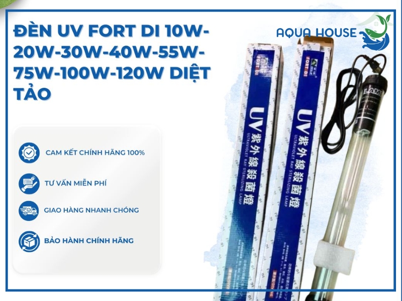 Các dòng đèn UV Fort Di phổ biến trên thị trường