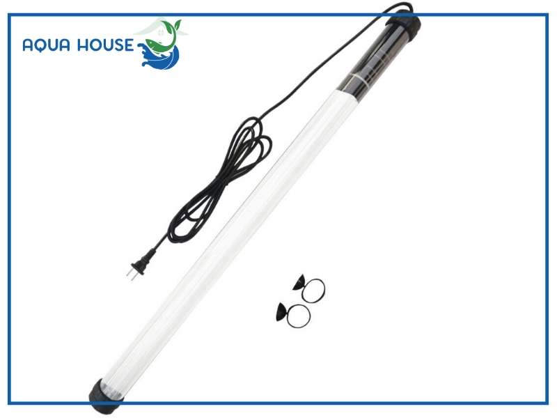 Đèn UV Fort Di có an toàn không?