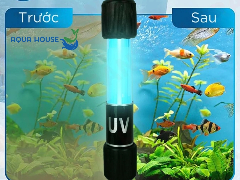 Cách sử dụng và bảo quản đèn UV Jingye