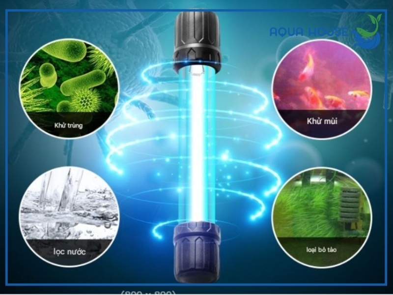 Các loại đèn UV Jingye phổ biến