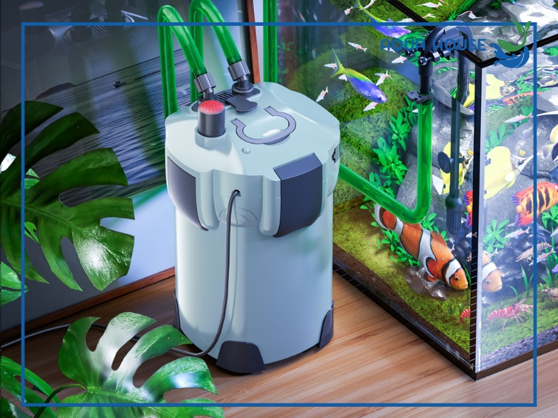 Top 5 Lọc Thùng Cho Bể 90 Tốt Nhất Hiện Nay 29 Công suất lọc thùng phù hợp cho bể 90