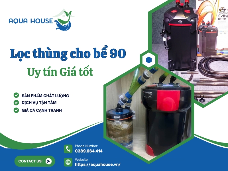 Top 5 Lọc Thùng Cho Bể 90 Tốt Nhất Hiện Nay 30 Lọc thùng cho bể cá 90