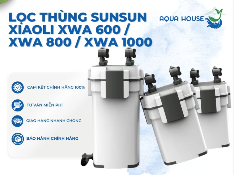 Lọc Thùng Cho Hồ 1m2 Phù Hợp Đầy Đủ Công Suất 34 Top các loại lọc thùng cho hồ 1m2 phổ biến nhất