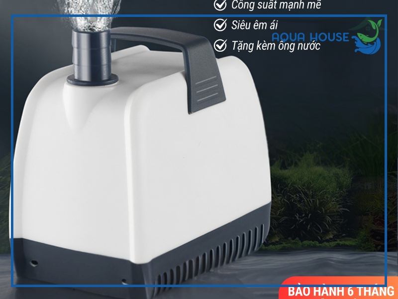 Mua máy bơm hồ cá Jingye ở đâu uy tín? – Aquahouse