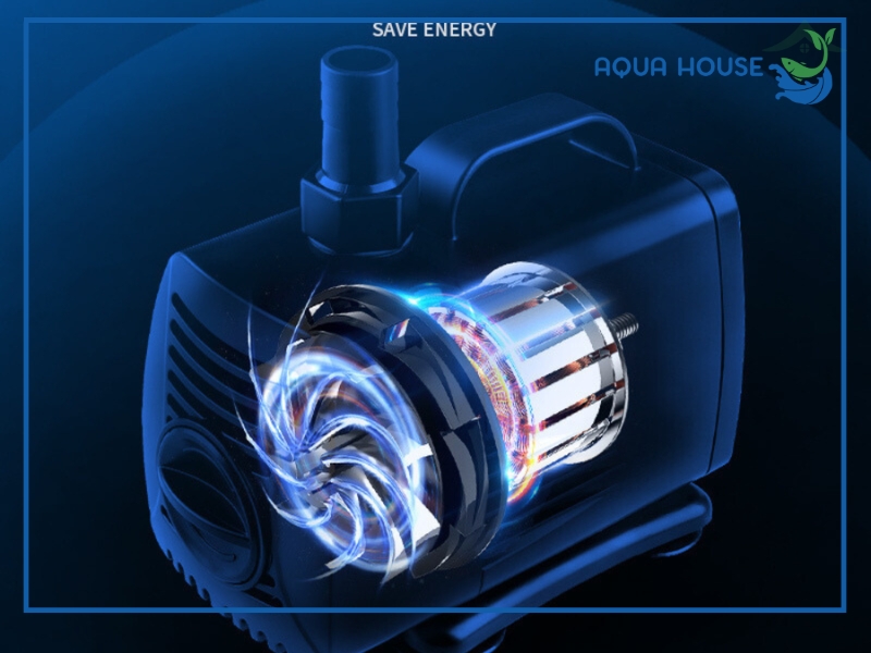 Ứng dụng của máy bơm Jingye trong hồ cá