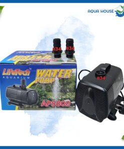 máy bơm hồ cá lifetech ap