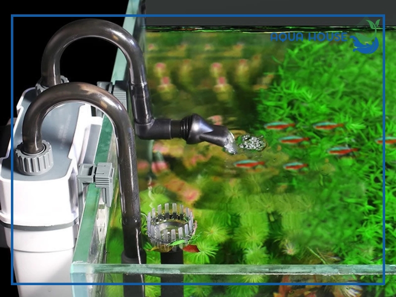 Cách chọn máy lọc Sunsun phù hợp