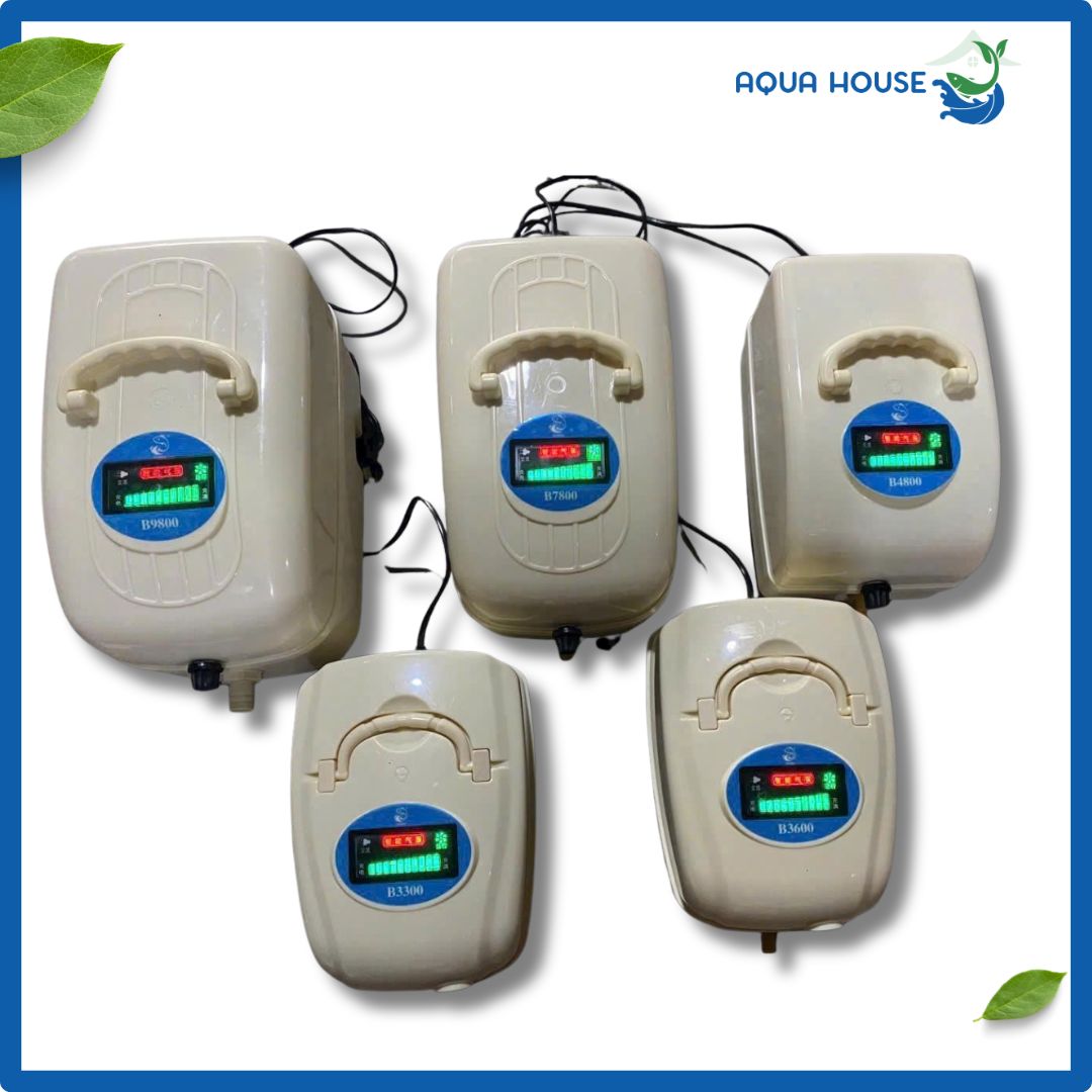 may suc khi oxy tich dien dutron cac ma