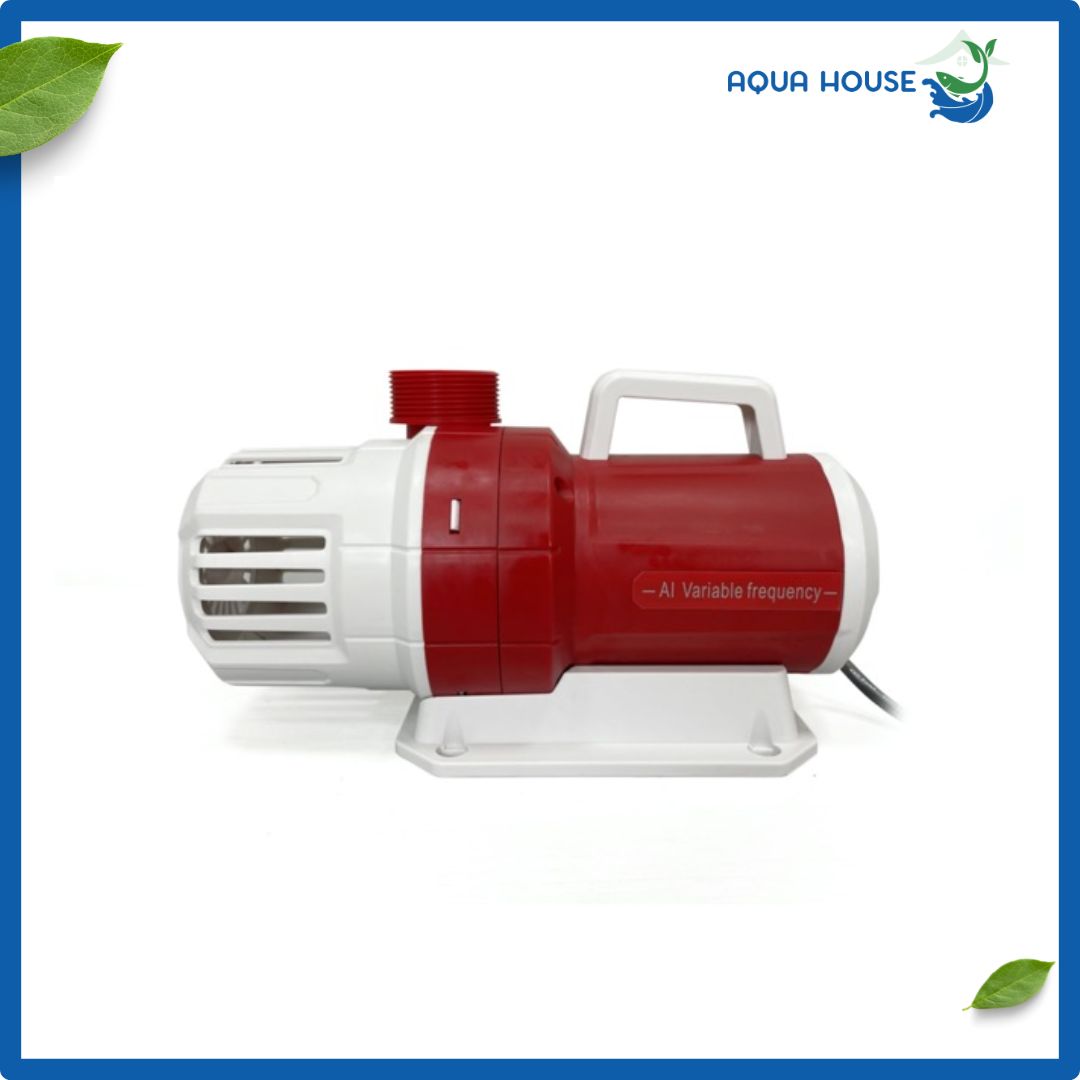 ngoại hình máy bơm baoyu by W