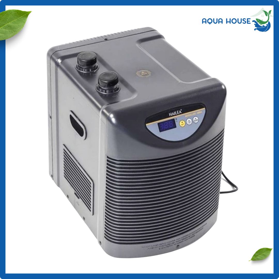 Máy Làm Lạnh Nước Chiller Hailea HC-1000A Công Suất Lớn Cho Hồ Cá 8 ngoại hình máy lạnh Hailea Chiller HC 1000A
