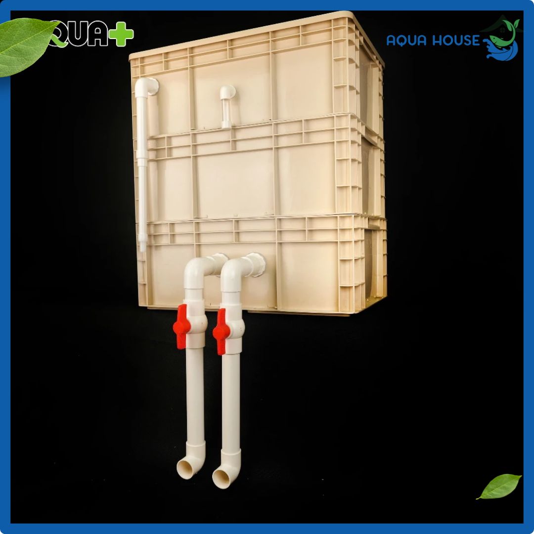 Bộ Lọc thùng Aqua Plus, Baki cho Hồ cá cảnh 8 Bộ Lọc thùng Aqua Plus, Baki cho Hồ cá cảnh loại lơn