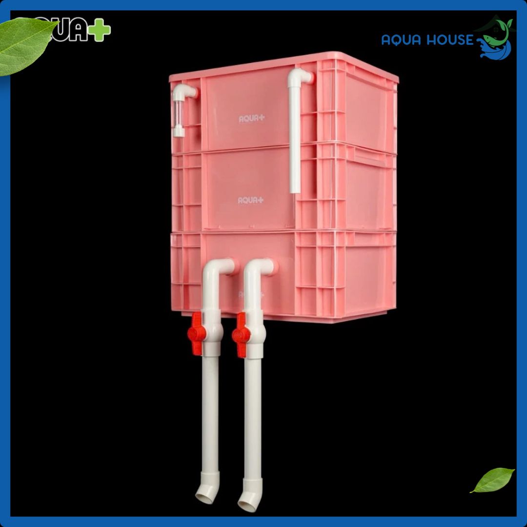 Bộ Lọc thùng Aqua Plus, Baki cho Hồ cá cảnh 5 Bộ Lọc thùng Aqua Plus, Baki cho Hồ cá cảnh màu hồng