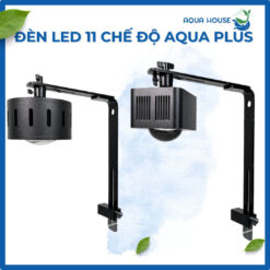 Bộ đèn Aqua Plus