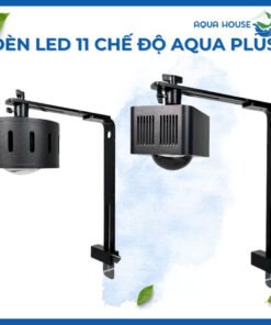 Trang chủ 254 Bộ đèn Aqua Plus