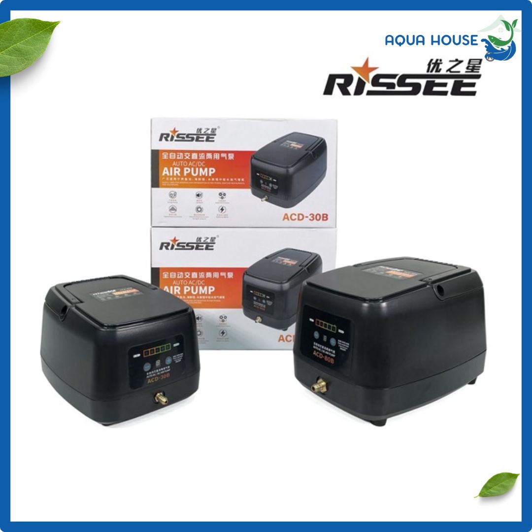 Máy sục khí tích điện Rissee ACD 80B - 30B Cho Hồ Cá koi 6 Máy sục khí tích điện Rissee ACD 80B - 30B Cho Hồ Cá