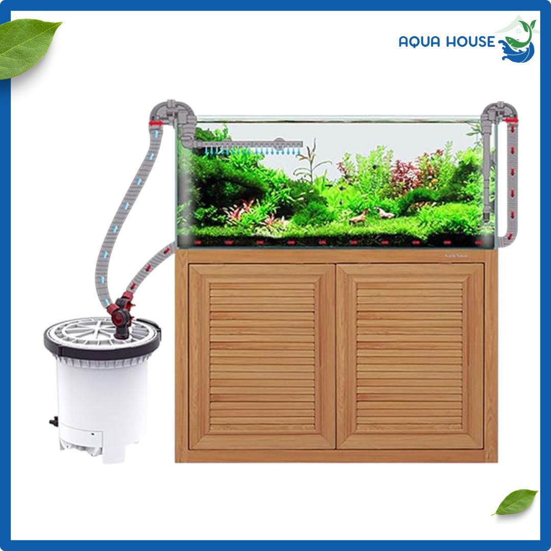 Lọc Thùng Sunsun HW 5000 Có UV Diệt Khuẩn 13 cách hoạt động lọc thùng SunSun HW 5000