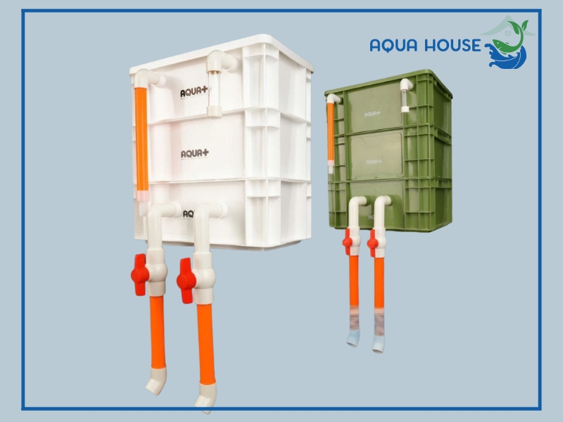 Lọc thùng là gì? Tại sao nên dùng lọc thùng cho bể cá