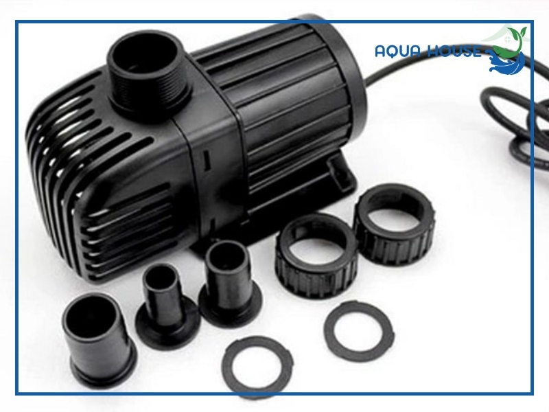 Cách chọn máy bơm hồ cá Koi phù hợp nhất