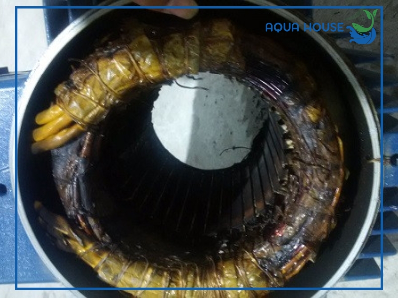 Nguyên nhân máy bơm nước bị cháy và cách xử lý an toàn 35 Máy bơm nước bị cháy có sửa được không?