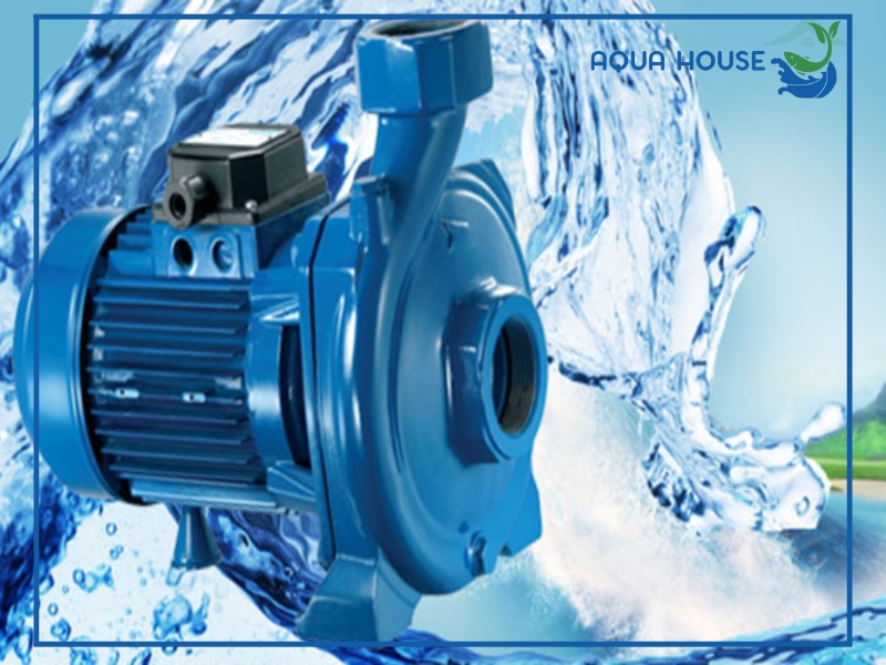 Máy bơm nước bị giật cục: Nguyên nhân và cách khắc phục hiệu quả 33 Dấu hiệu nhận biết máy bơm nước bị giật cục