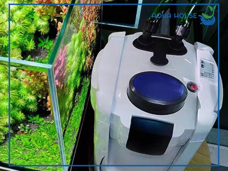 Lọc thùng hồ cá