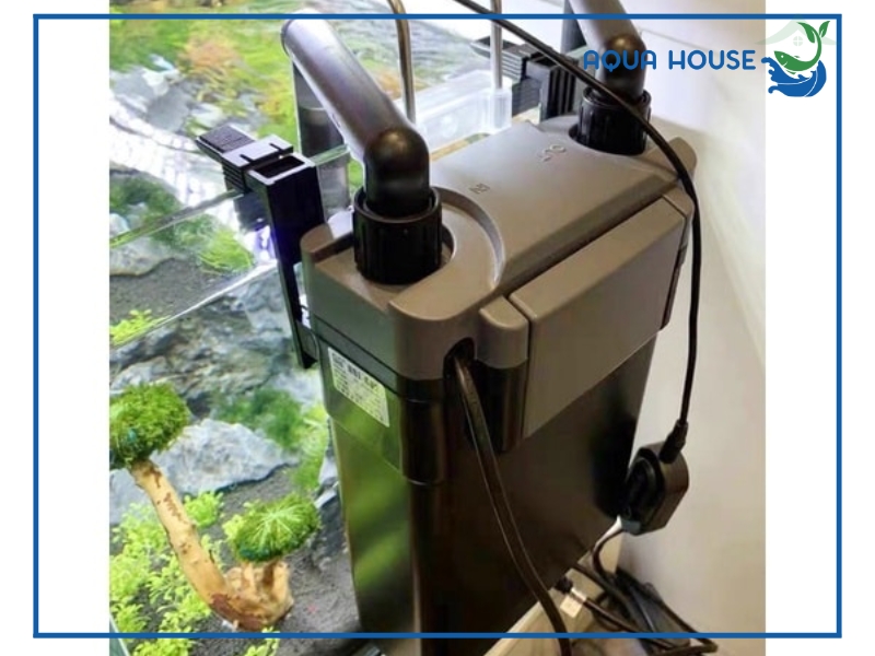 Máy lọc nước hồ cá treo thành