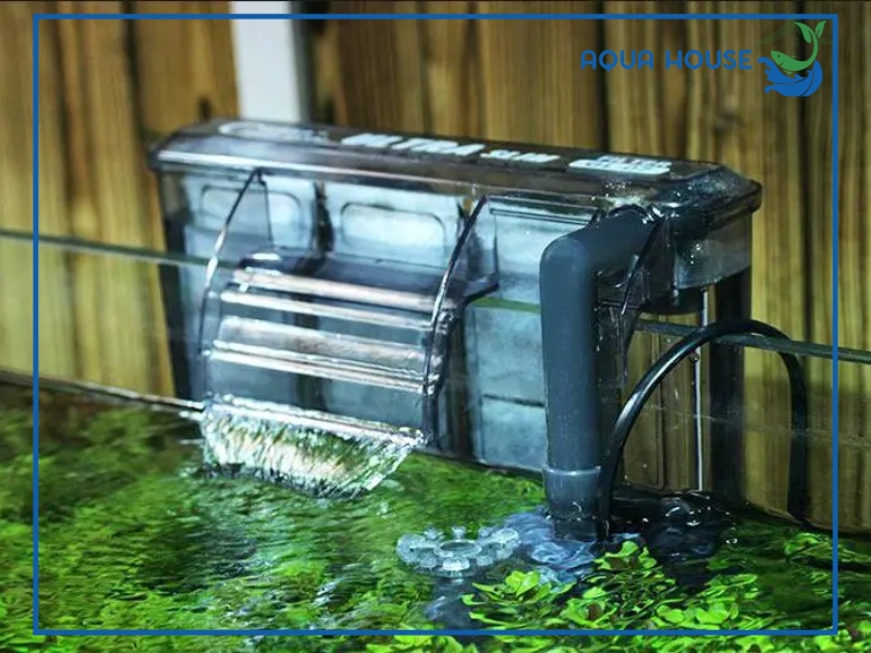 Máy lọc nước hồ cá có tác dụng gì?