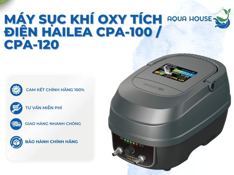 Địa chỉ mua máy sủi Oxy Hailea chính hãng