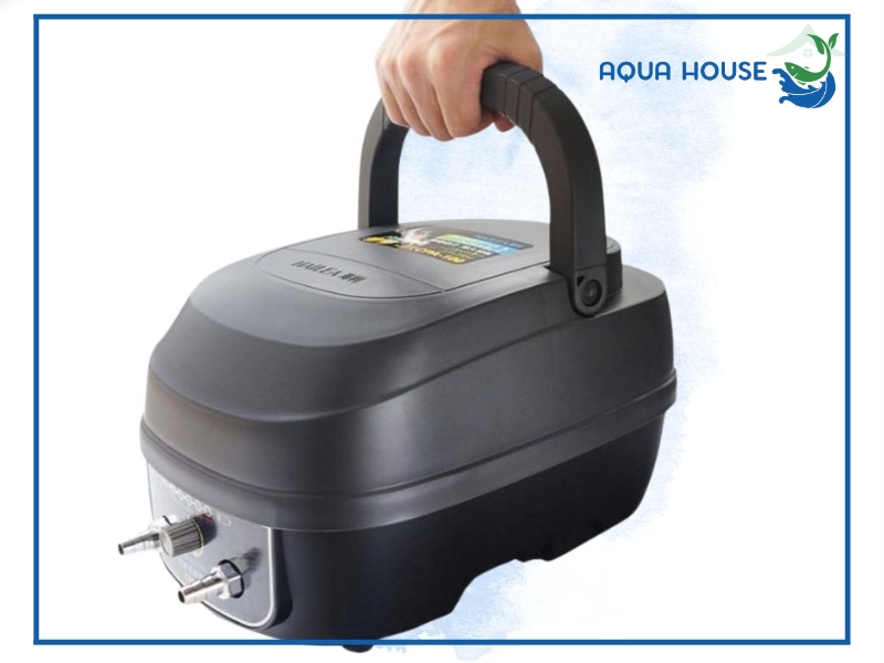 Giới thiệu về thương hiệu Hailea