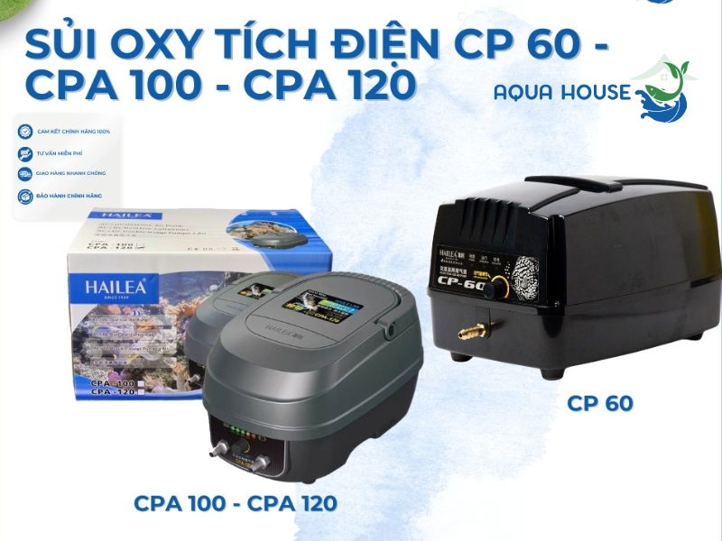 Các model máy sủi oxy Hailea phổ biến nhất