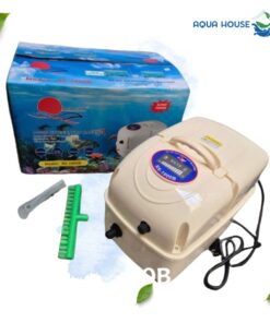 máy sủi oxy tích điện RS 1000B