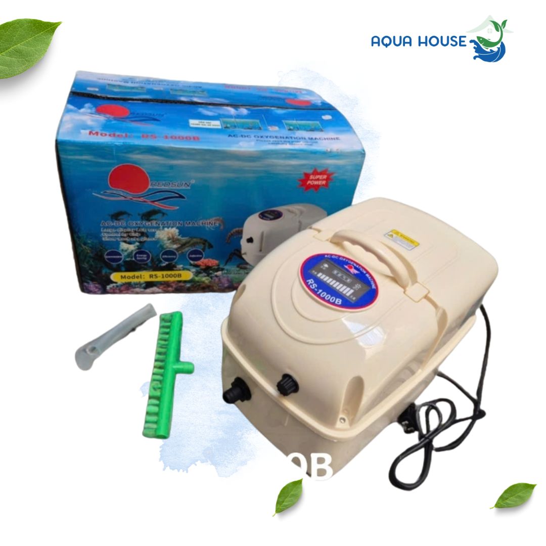 máy sủi oxy tích điện RS 1000B