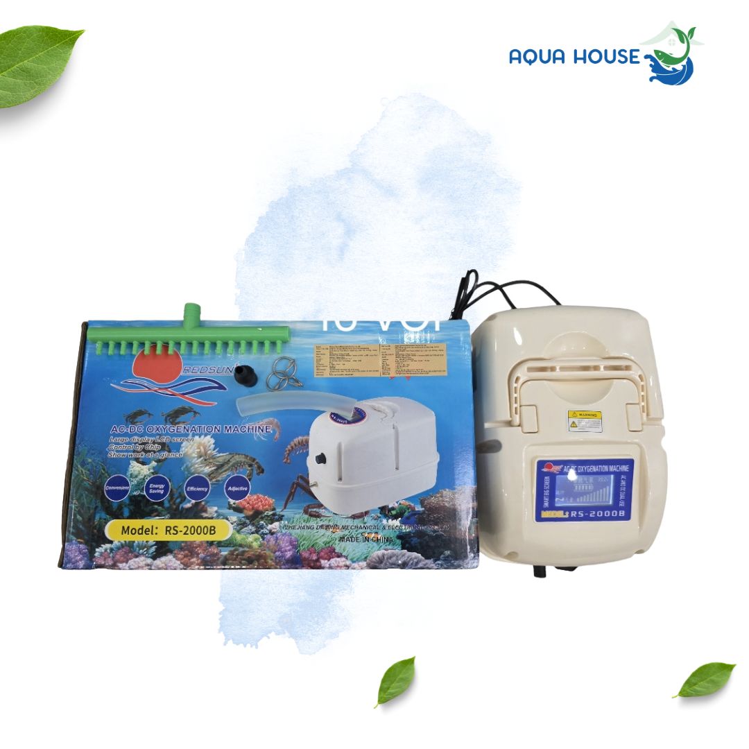 máy sủi oxy tích điện RS 2000b