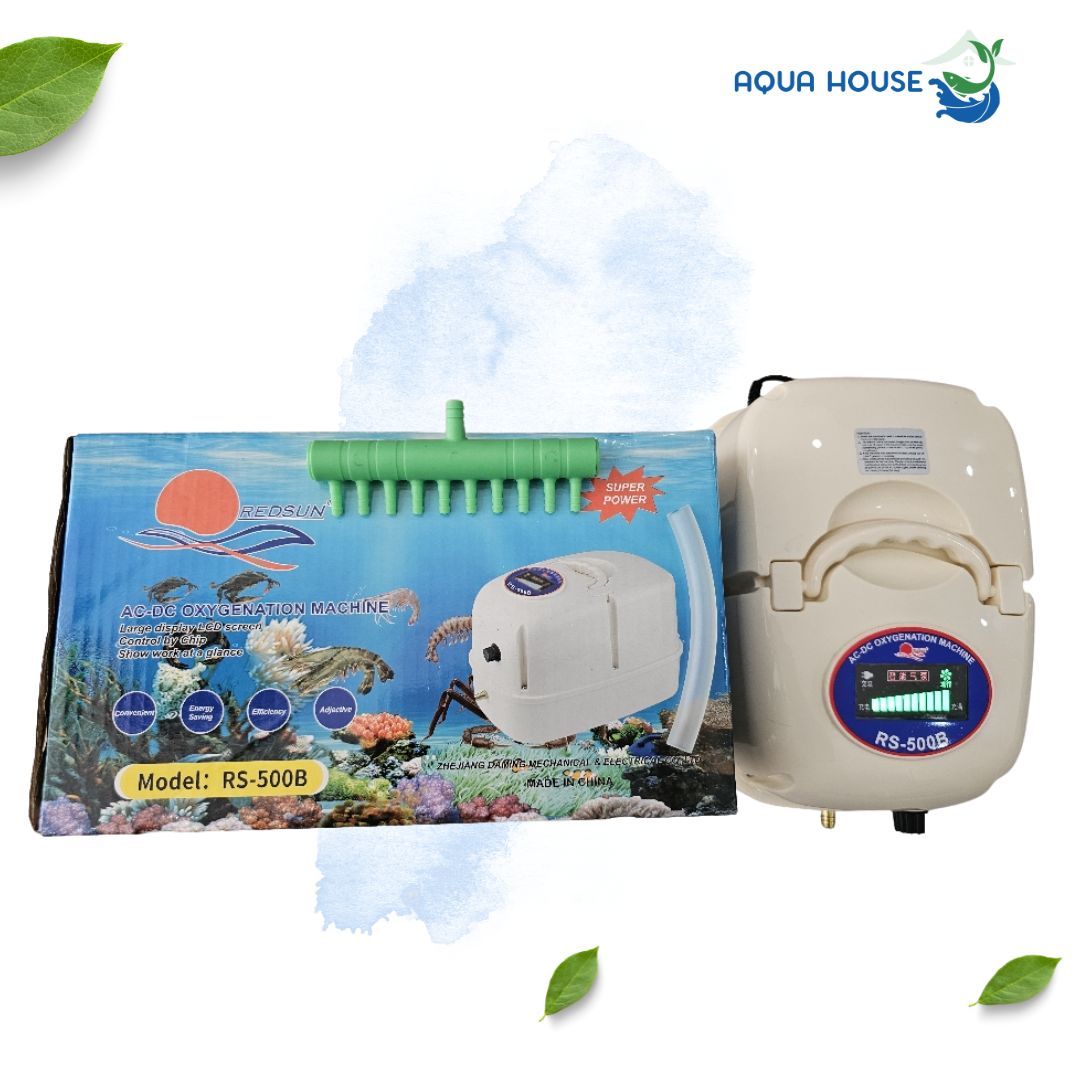máy sủi oxy tích điện RS 500
