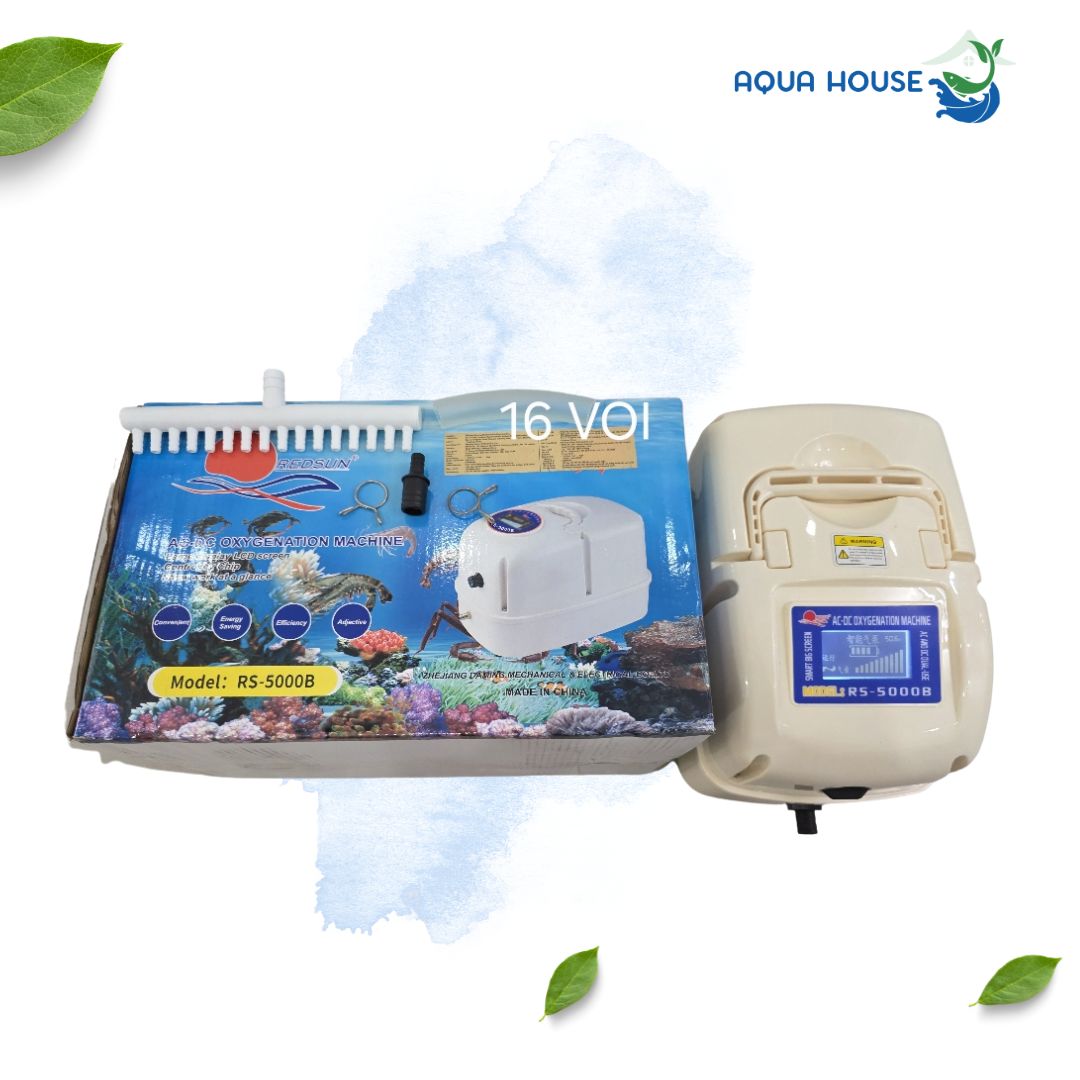 máy sủi oxy tích điện RS 5000b