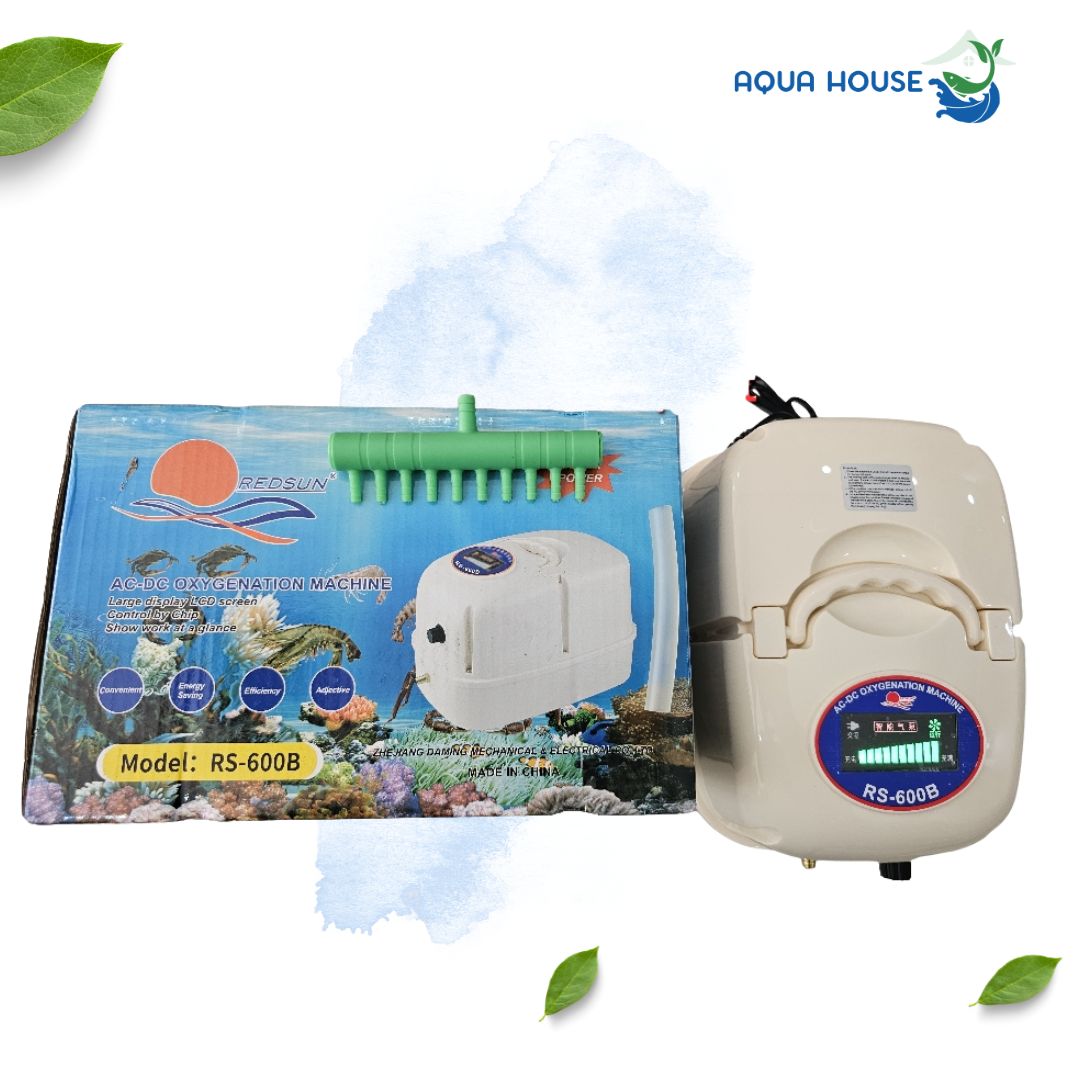 máy sủi oxy tích điện RS 600