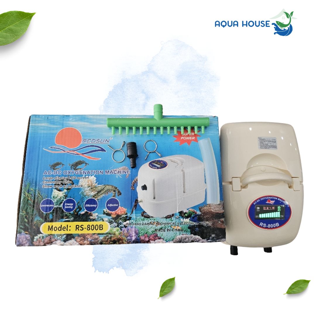 máy sủi oxy tích điện RS 800