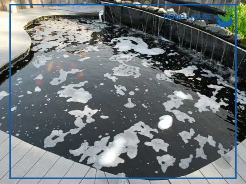 Nguyên nhân khiến nước hồ cá bị bọt