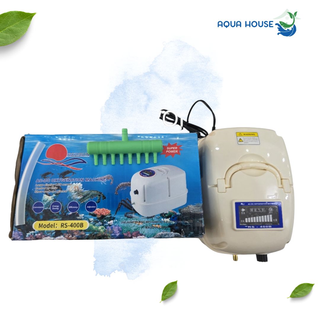 sủi oxy tích điện RS 400b