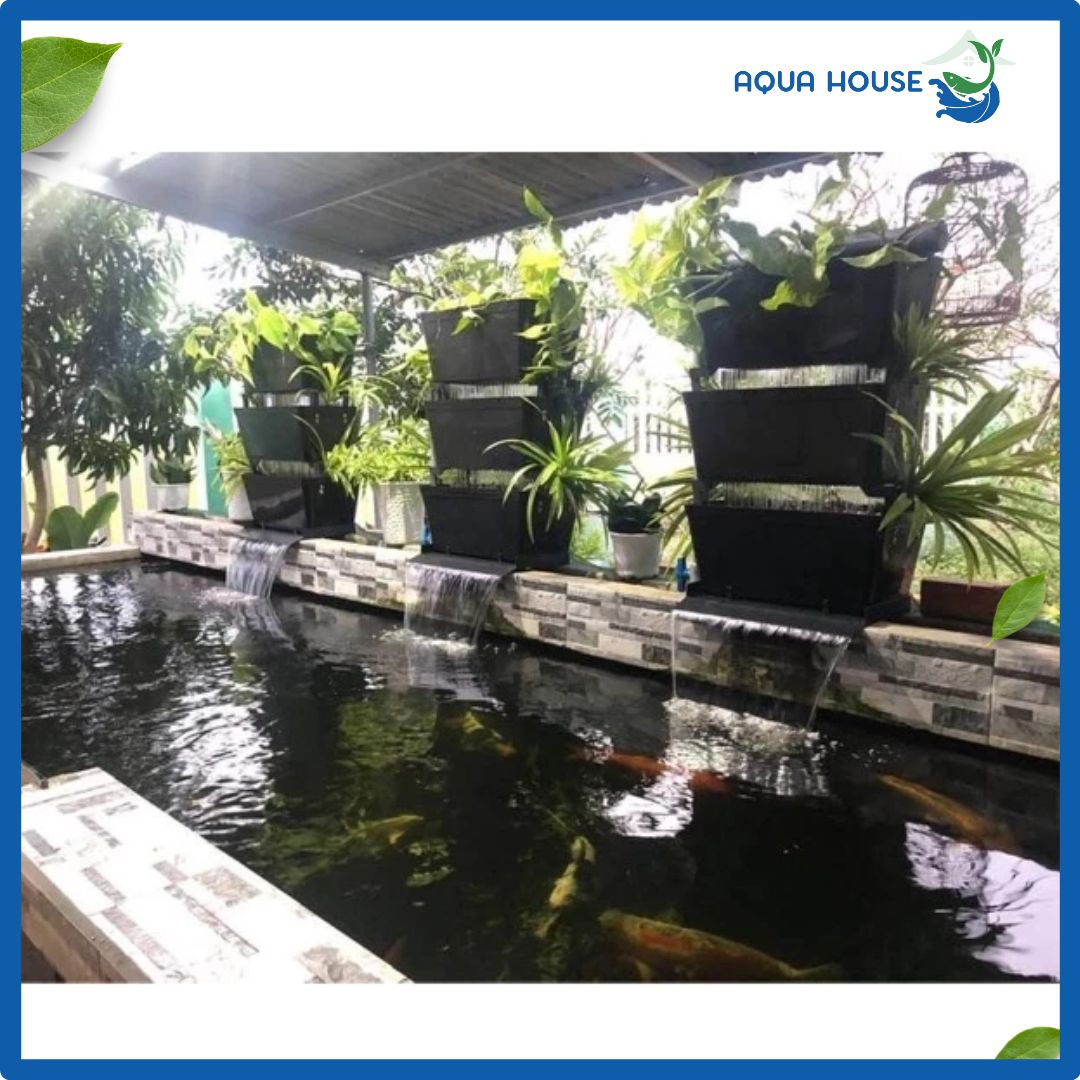 Bakki Lamela – Lọc Dàn Mưa Hồ Cá Cảnh & Hồ Koi 7 Bakki lamela kết hợp