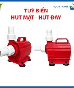 Có thể chế tạo hút mặt hút đáy bơm baoyu JP