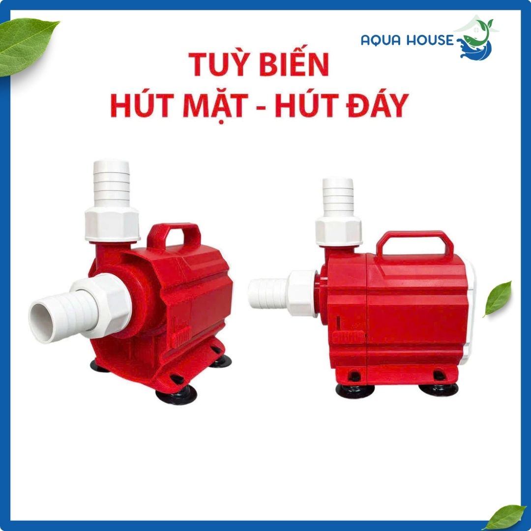 Có thể chế tạo hút mặt hút đáy bơm baoyu JP