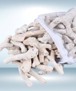 Trang chủ 298 San hô-Vật liệu lọc nước