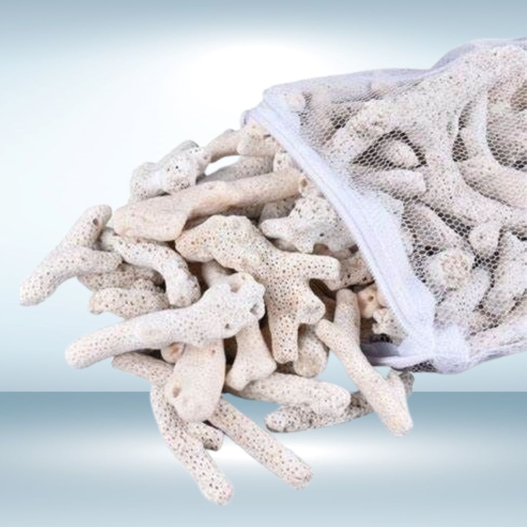 San hô-Vật liệu lọc nước