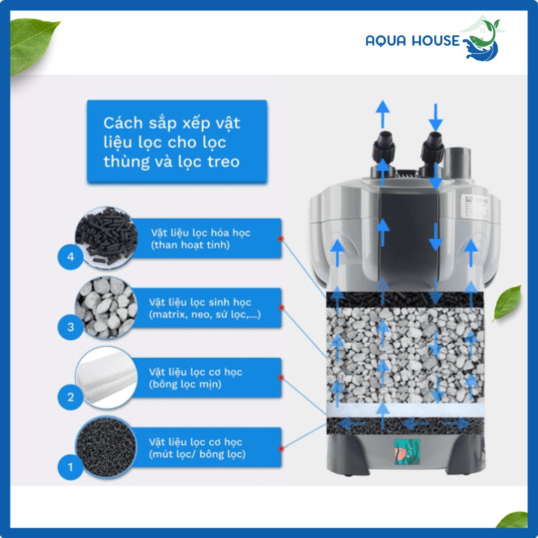 San hô-Vật liệu lọc nước ổn định pH 5 các đặt vật liệu lọc