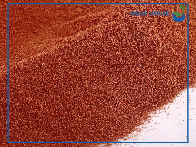 Cách cho cá ăn Artemia sấy khô đúng cách giúp cá lớn nhanh khỏe mạnh 33 cách cho cá ăn artemia sấy khô