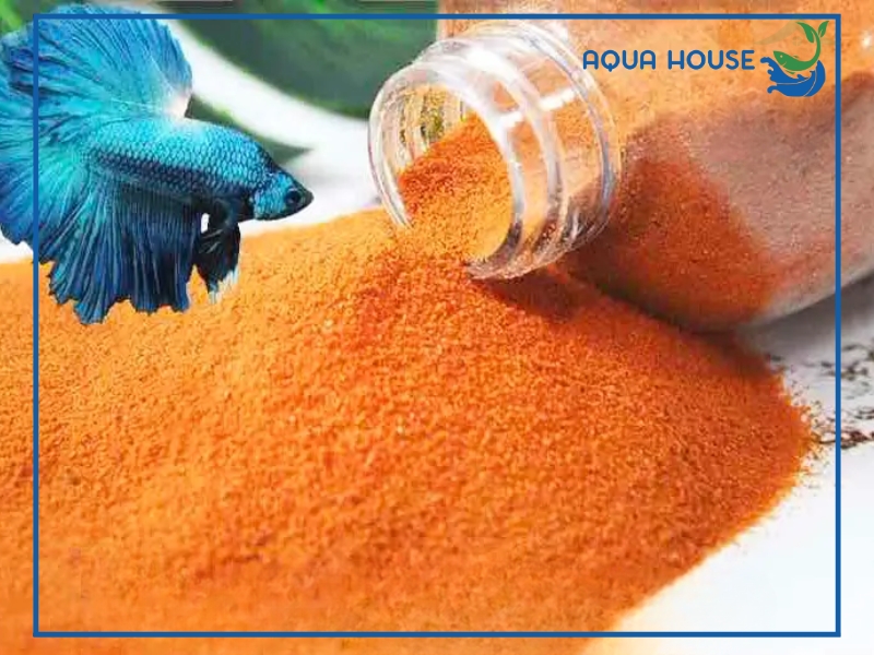 Cách cho cá ăn Artemia sấy khô đúng cách giúp cá lớn nhanh khỏe mạnh 34 Cách cho cá ăn artemia sấy khô đúng chuẩn