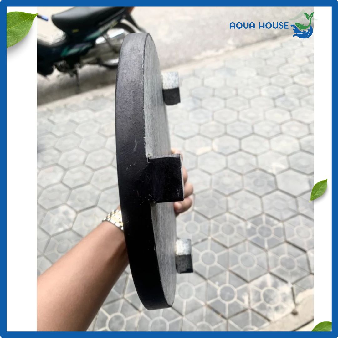 Nấm Che Hút Đáy Hồ Koi - 20cm - 25cm - 30cm 3 đá chất lượng cao cho nấm đá hồ cá